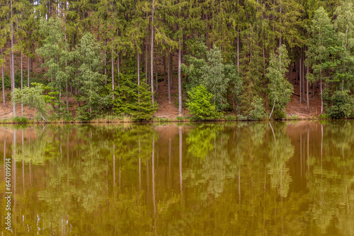 Trees reflecting in Slunecny rybnik pond near Lanskroun, Czech Republic