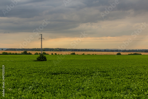 Evening view of fields near Kolin, Czech Republic