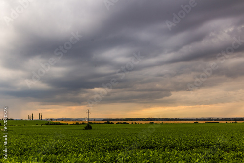 Evening view of fields near Kolin, Czech Republic photo