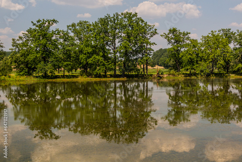 Machovec fish pond in Southern Bohemia  Czech Republic