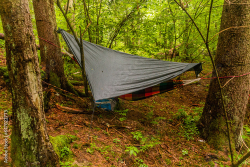 Hammock with a tarp in a forest in the Czech Republic