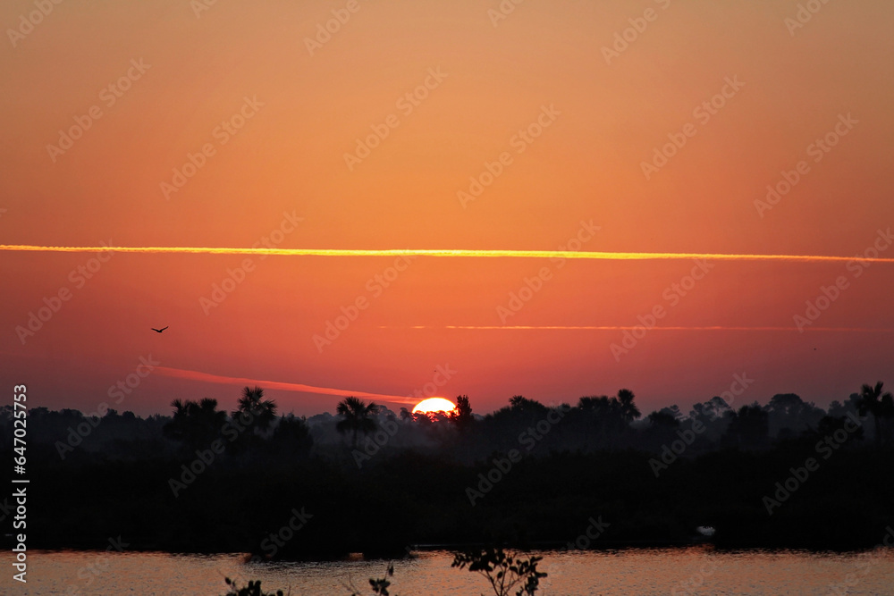 Fototapeta premium Florida Sunrise