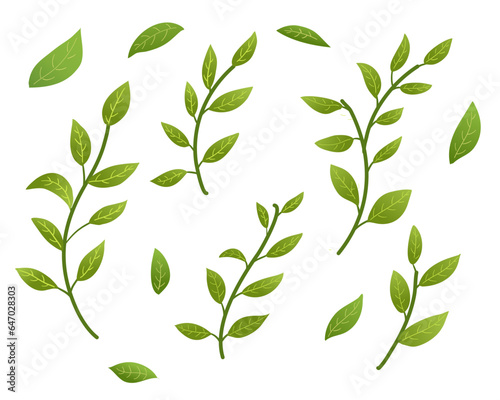 Green leaf elements set 