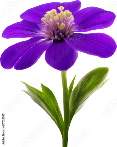 Purple flowers on a white background. AI- Generated. © Pram