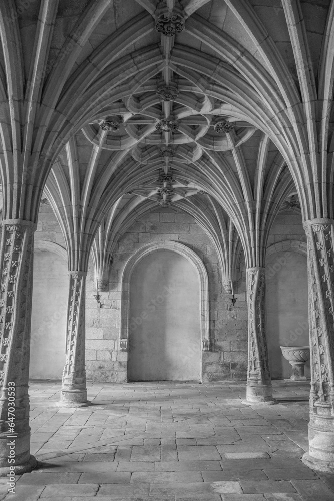 Arquitectura gótica con columnas en forma de palmera en blanco y negro