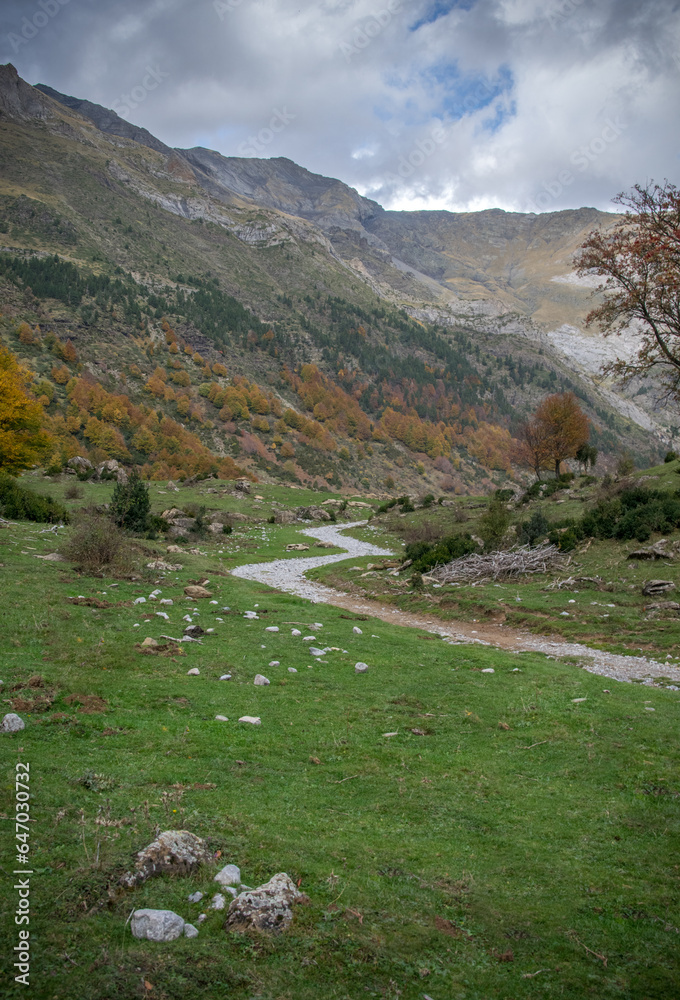Paisaje con camino serpenteante y montañas en otoño