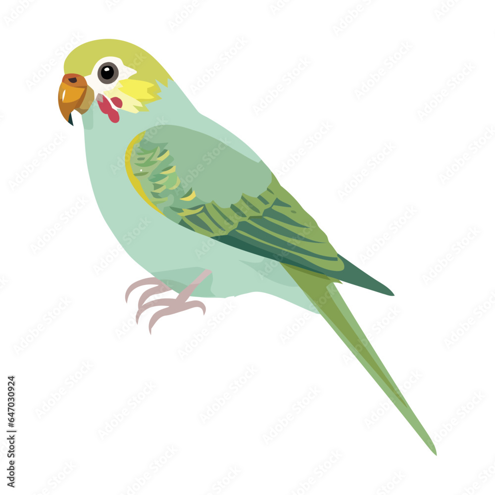 Colorful parakeet perching on green branch isolated