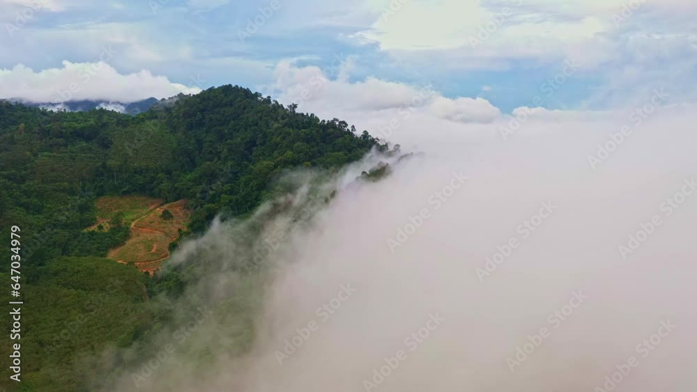 The mist on the mountain peak was flowing down from the mountain into the valley..slow floating fog blowing cover on the top of mountain look like as a sea of mist. .tropical rainforest background.. The mist on the mountain peak was flowing down from the mountain into the valley..slow floating fog blowing cover on the top of mountain look like as a sea of mist. .tropical rainforest background..