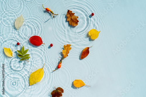 Autumn background with colorful autumn leaves on the water with rain drops