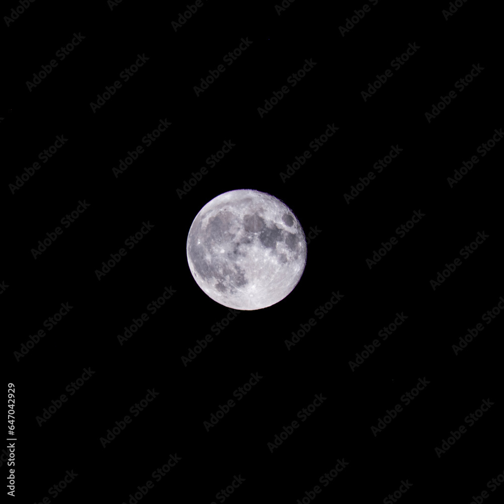 Obraz premium BLUE moon