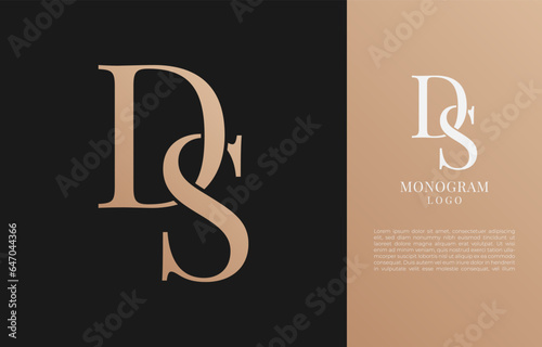 minimalist DS initial letter vintage brand and logo