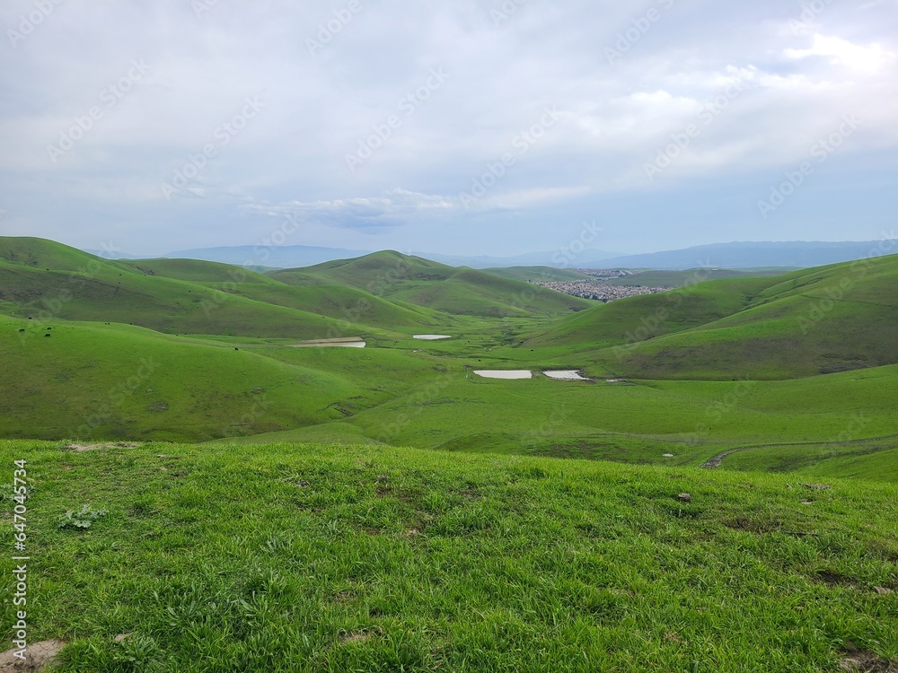 Fototapeta premium Rain water ponds from winter rains in the East Bay Hills near San Francisco, California