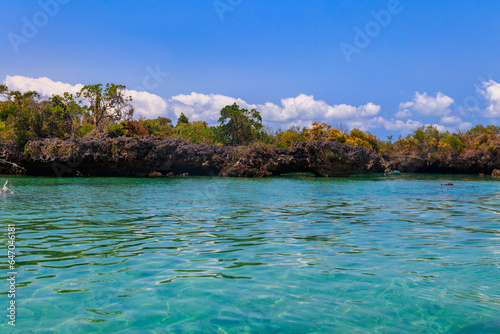 Fototapeta Naklejka Na Ścianę i Meble -  Mangroves in the lagoon of Kwale island. This is a small islet in the south of Zanzibar, Tanzania