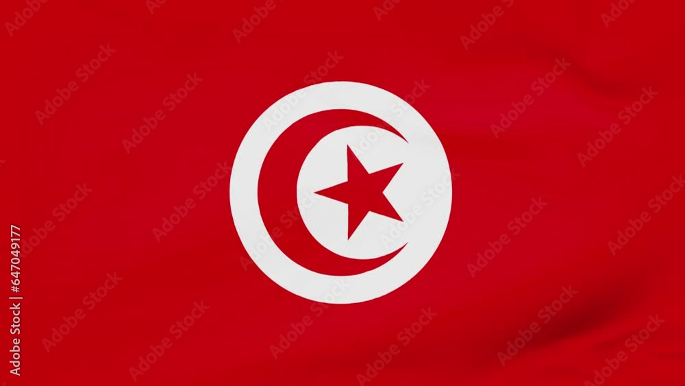 Tunisia flag waving animated background