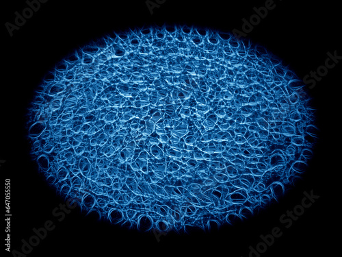 glowing blue coloured ellipse shape on a black background