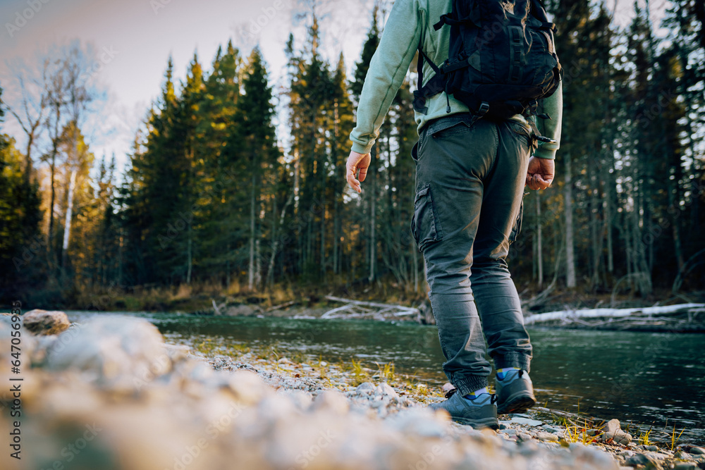 person walking in the woods