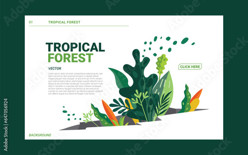 Wallpaper Mural Nature tropical forest layout template design. Graphic vector  Torontodigital.ca