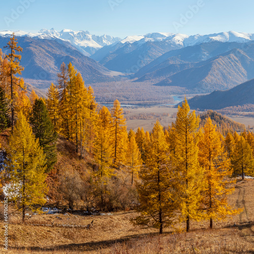 Autumn view, forest and mountains