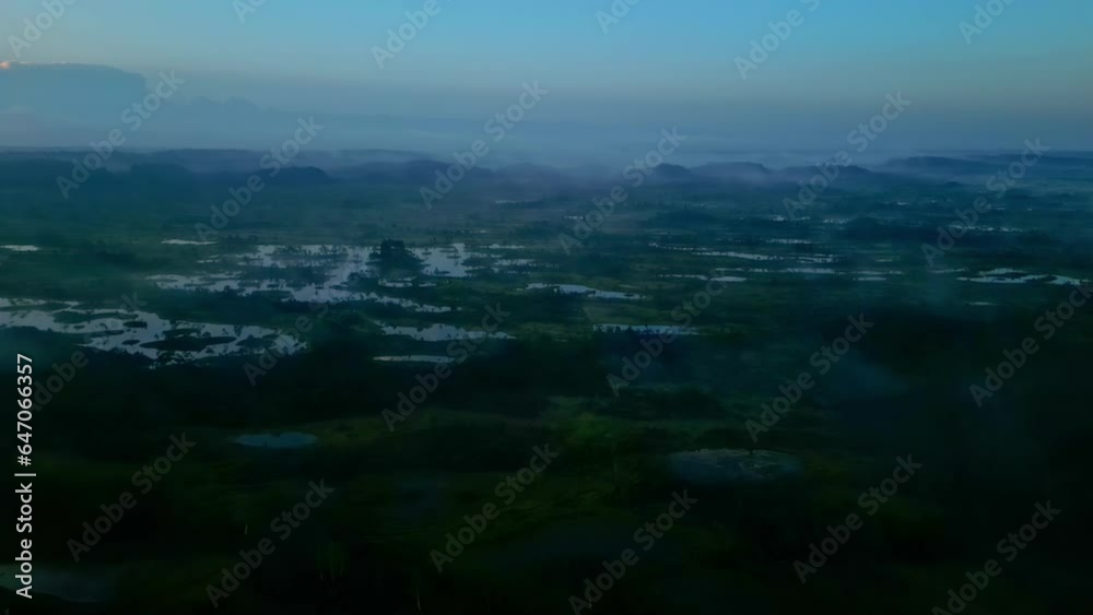 Early morning and misty landscape of swamps, aerial drone view Early morning and misty landscape of swamps, aerial drone view