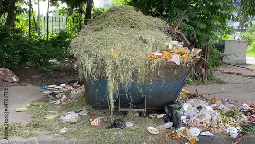 Shot of a crow scavenging for food in an overflowing dumpster along the roadside in Kolkata, India at daytime. photo