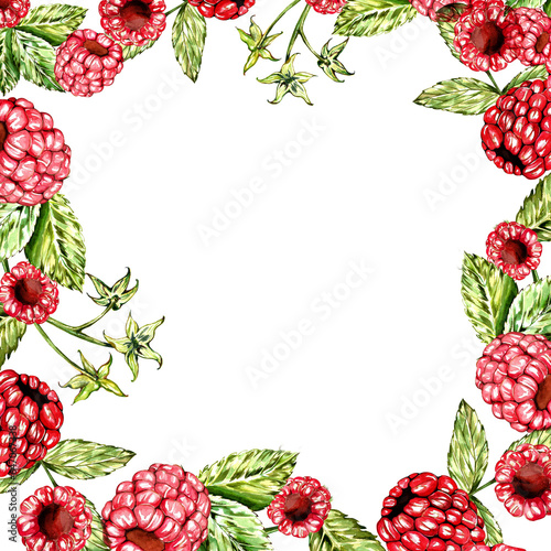 a set of watercolor elements. juicy raspberries with leaves. for postcards and design