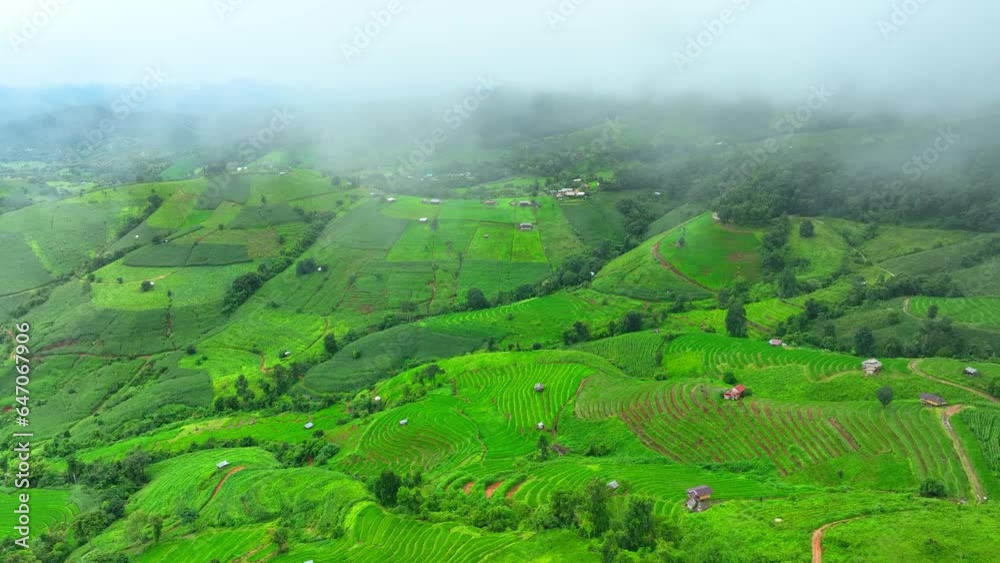 The drone hovers higher, the rice terraces begin to resemble a sculpted work of art, a masterpiece of human labor and agricultural knowledge handed down through generations. Chiang Mai, Thailand.
The drone hovers higher, the rice terraces begin to resemble a sculpted work of art, a masterpiece of human labor and agricultural knowledge handed down through generations. Chiang Mai, Thailand.