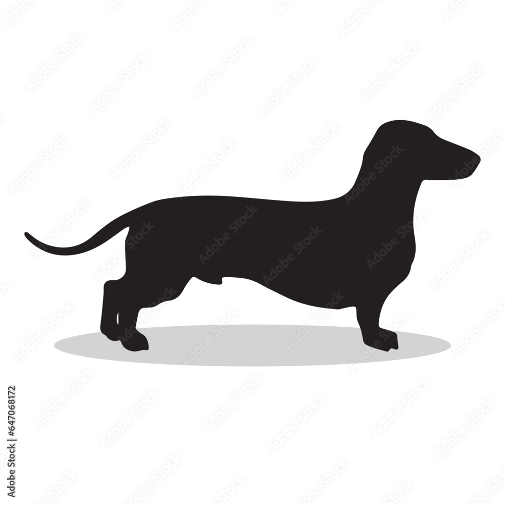 Badger dog Silhouette, cute Badger dog Vector Silhouette, Cute Badger dog cartoon Silhouette, Badger dog vector Silhouette, Badger dog icon Silhouette, Badger dog Silhouette illustration, Badger dog v