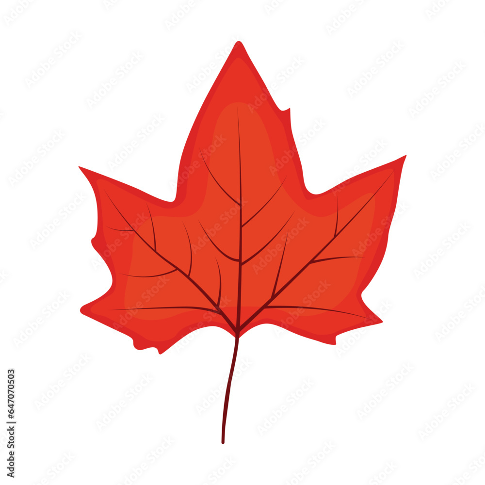 maple leaf vector, flat maple leaf icon. maple leaf vector, flat maple leaf icon.