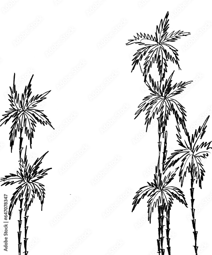 on a white background, a black outline of palm trees in the form of a frame