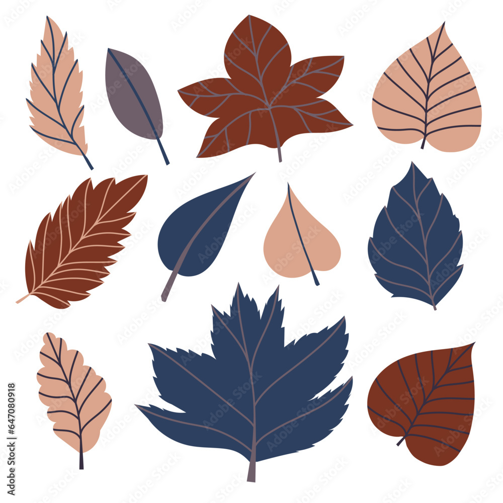 Set of vector illustration of leaves of maple, oak, birch in cozy autumn colors, Isolated objects for scrapbooking, textile or book covers, wallpaper, design, graphic art, printing, hobby, invitation.