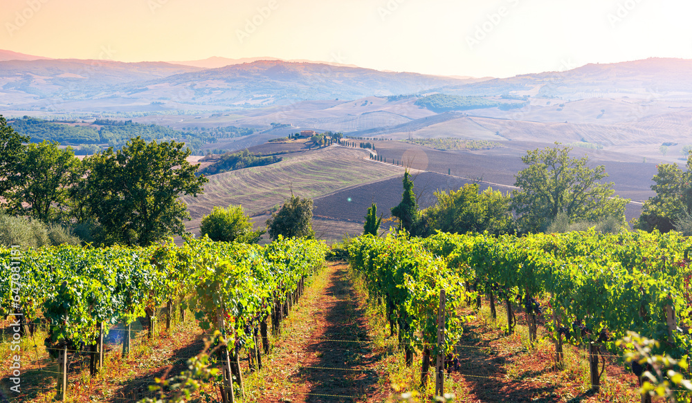 Tuscany landscape in Italy at sunset Tuscany landscape in Italy at sunset