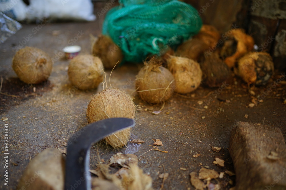traditional coconut industry, machetes and coconuts that are ready to be broken for processing traditional coconut industry, machetes and coconuts that are ready to be broken for processing