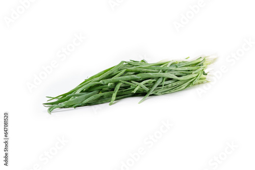 Fresh green onion or scallions or spring onion