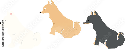 手書き風のシンプルなかわいい柴犬のイラスト　おすわり　主線なし