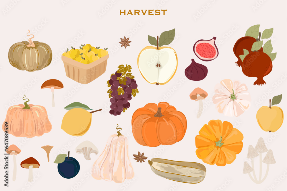 Collection of autumn harvest, pumpkin, apple, fig, grape, pomegranate, plum, mushrooms. Botanical autumn set. Editable vector illustration. Collection of autumn harvest, pumpkin, apple, fig, grape, pomegranate, plum, mushrooms. Botanical autumn set. Editable vector illustration.