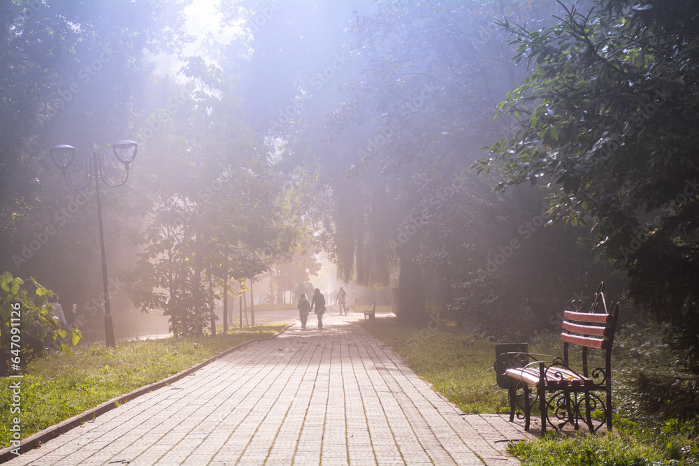 A park alley with a cobblestone path and a bench in the morning fog