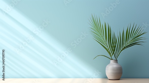 plant in a vase