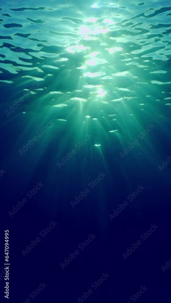 Vertical video, Real time, Underwater sun rays in depth ocean, Backlighting (Contre-jour). Sharp sun rays pierce blue water of ocean. View of sunlight from blue abyss. Vertical video, Real time, Underwater sun rays in depth ocean, Backlighting (Contre-jour). Sharp sun rays pierce blue water of ocean. View of sunlight from blue abyss.