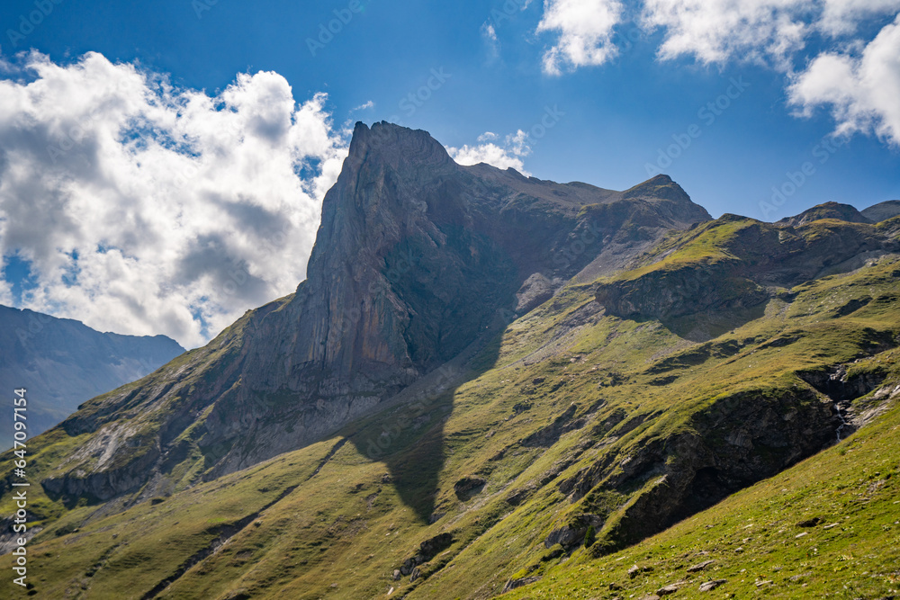 Schwarzer Schopf Berner Oberland Susegg Saustal 