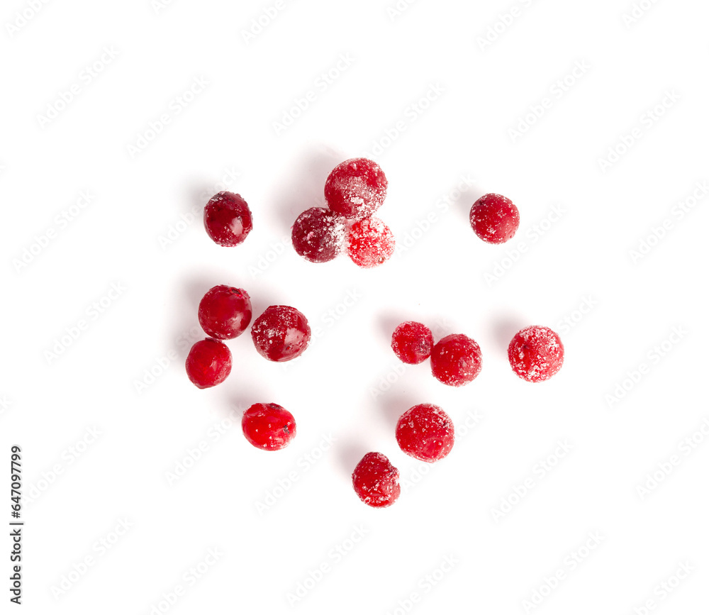 Frozen Lingonberry, Iced Cowberry, Snow Cranberry, Red Viburnum Berries, Frozen Lingonberry Frozen Lingonberry, Iced Cowberry, Snow Cranberry, Red Viburnum Berries, Frozen Lingonberry