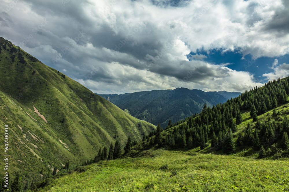 Fototapeta premium landscape with clouds