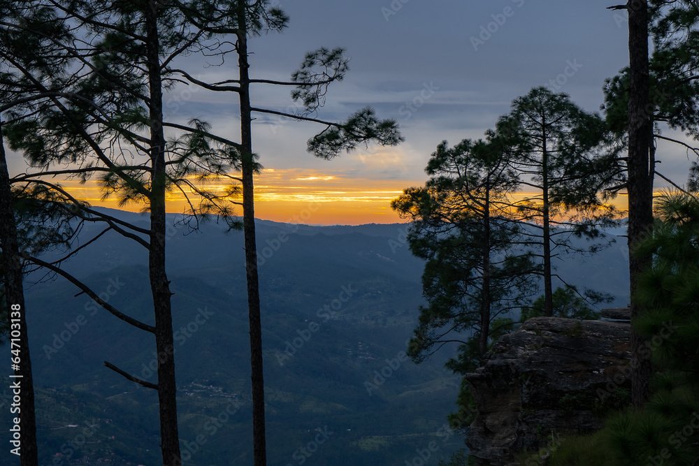 Beautiful landscape view of pine forest and sunset at himalayan range, Almora, Ranikhet, Uttarakhand, India with selective focus. Colourful sunset in Almora city, Kasardevi area. Beautiful landscape view of pine forest and sunset at himalayan range, Almora, Ranikhet, Uttarakhand, India with selective focus. Colourful sunset in Almora city, Kasardevi area.