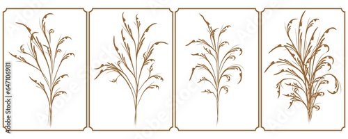 Delicate elegant floral design for invitation. Cream color. Dried flowers in pastel colors, isolated on a white background for the design of the invitation.