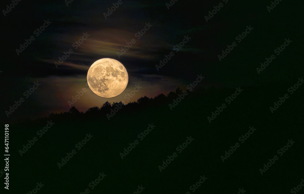 Blue Moon 23