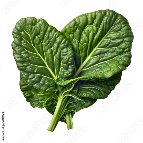 a collard green. isolated transparent background
 photo