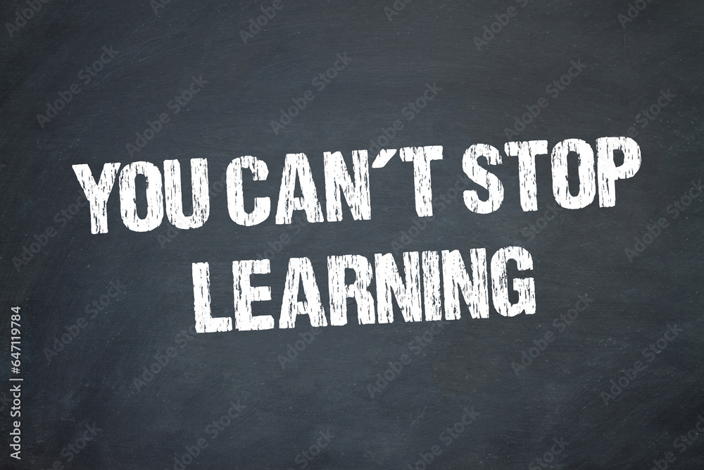 Fototapeta premium you can´t stop learning 