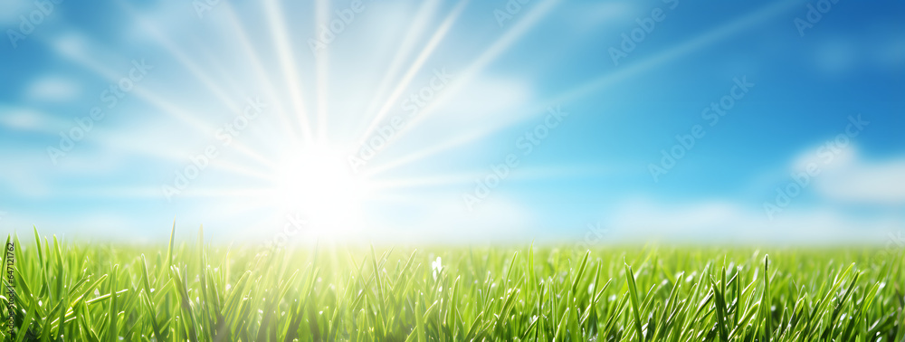 Lush green grass as far as the eye can see, bathed in the glow of a brilliant sun. The azure skies above are adorned with wispy clouds, and the sun's rays perfect day in the great outdoors.