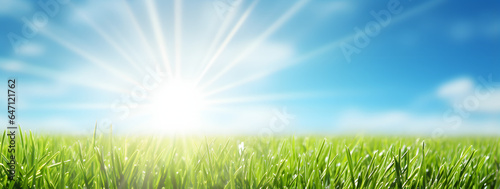 Lush green grass as far as the eye can see  bathed in the glow of a brilliant sun. The azure skies above are adorned with wispy clouds  and the sun s rays perfect day in the great outdoors.