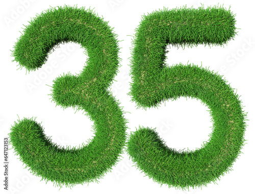 grass number 35 - 3d green number