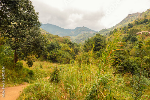 An empty hiking trail on Uluguru Mountains in Mororgoro, Tanzania